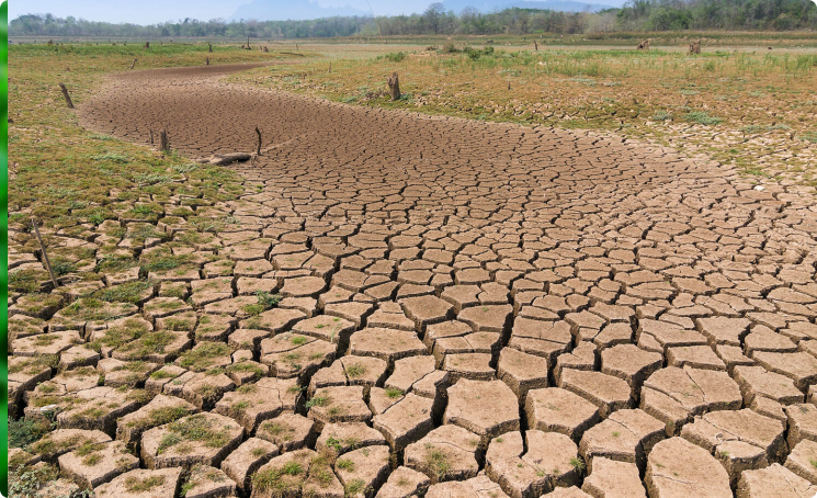 Land Resources Programme (LRP)